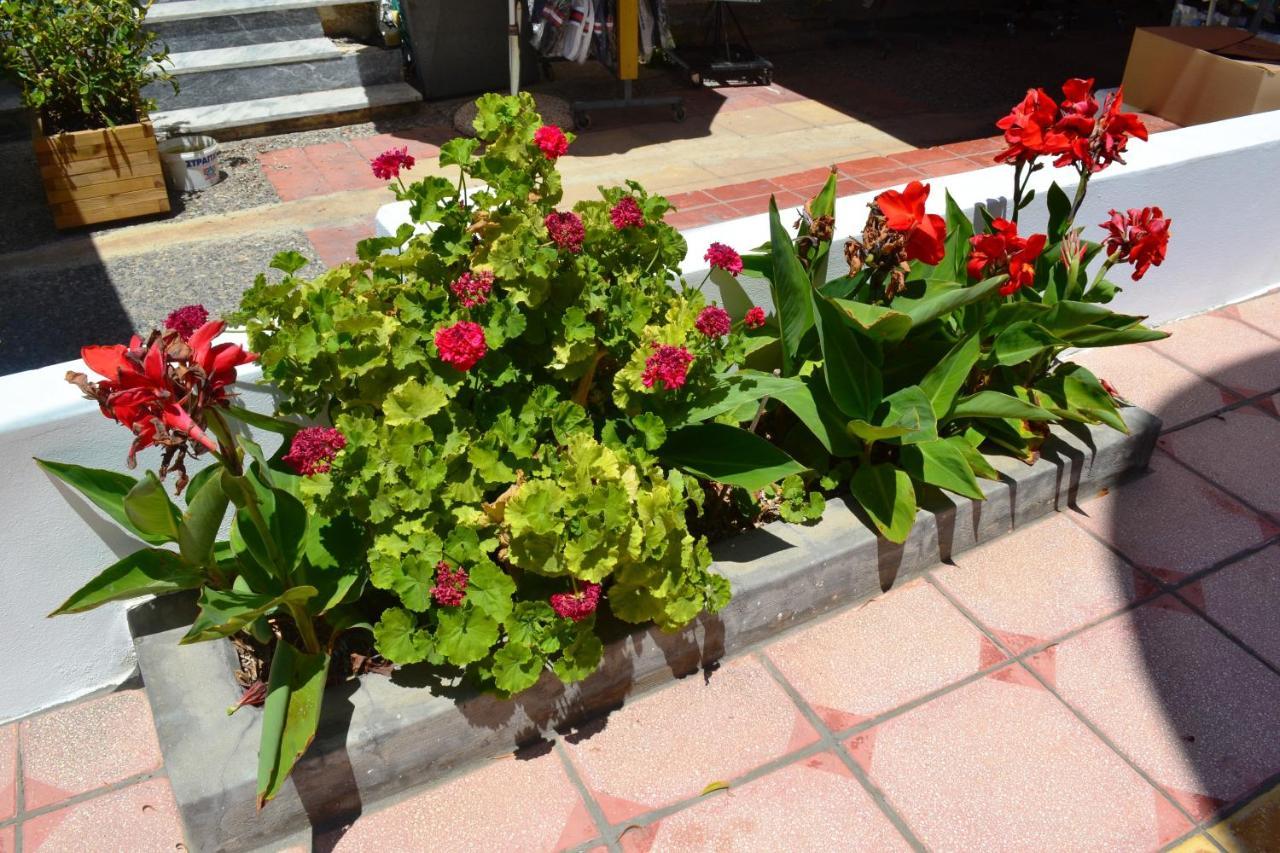 Hotel Arant มัสติคารี ภายนอก รูปภาพ